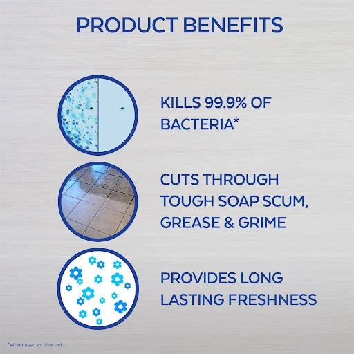 Lysol All Purpose Cleaner, Lemon Breeze, 19 oz